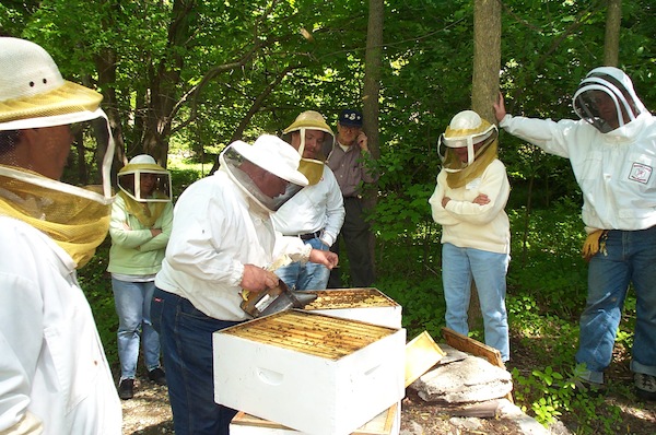 05 - Bee Meeting.jpg
