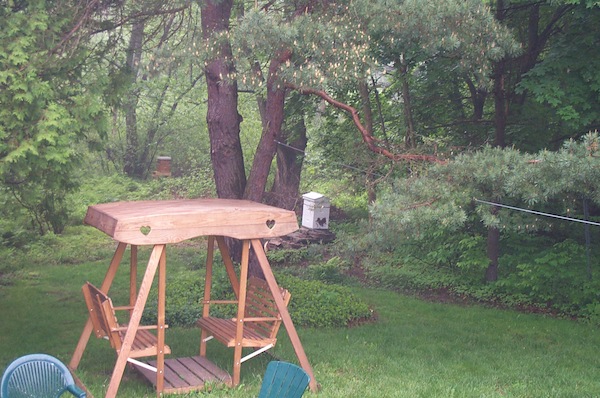 Heart cluster at 8AM May 30 - 1.jpg