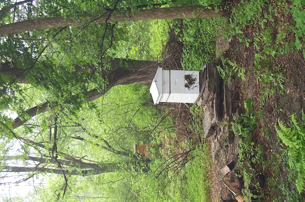 Heart cluster at 8AM May 30 - 2.jpg