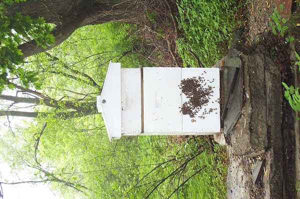 Heart cluster at 8AM May 30 - 3.jpg