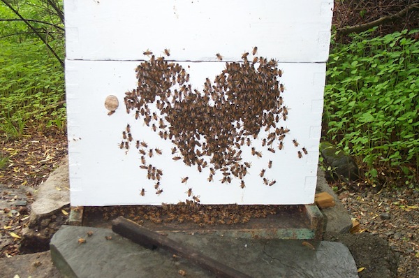 Heart cluster at 8AM May 30 - 4.jpg