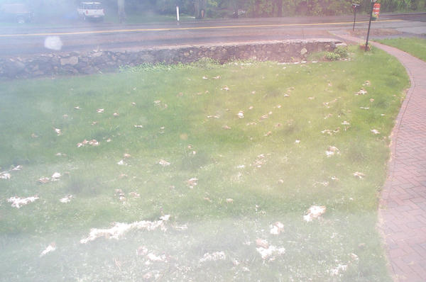 05 - Snow... on 5-18-2002