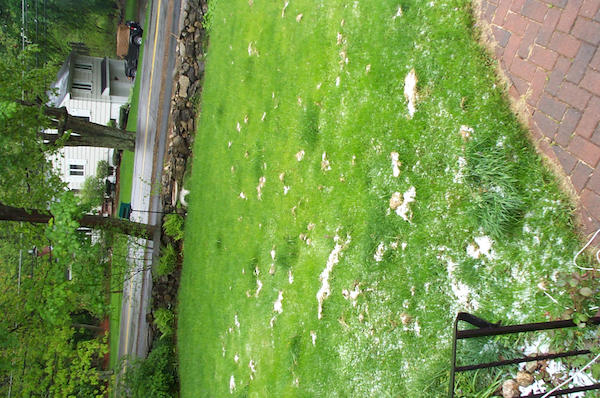 06 - Snow... on 5-18-2002