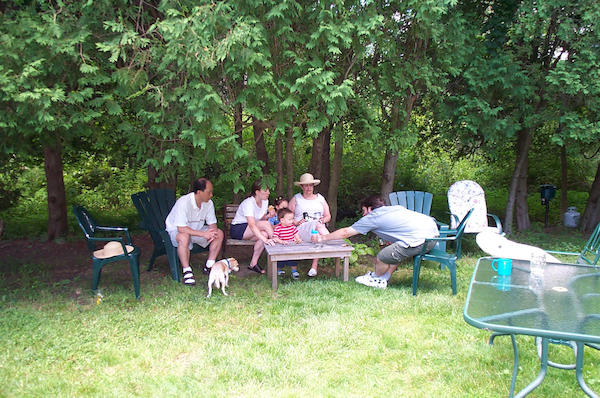 Moons and Jesenskies