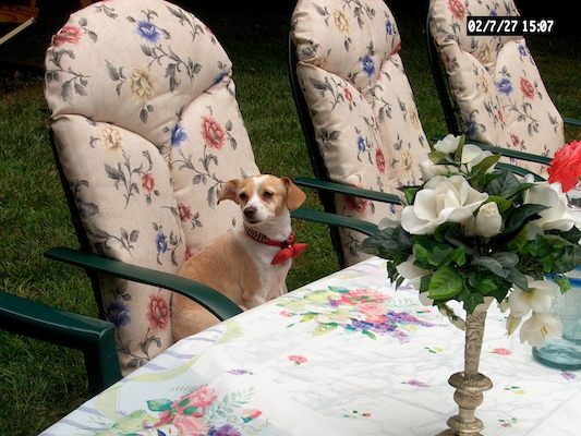 Closeup of the table 1