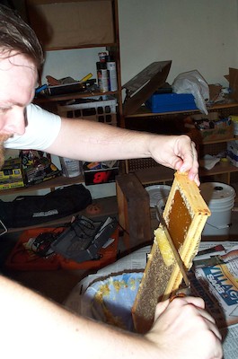 11 - Cutting Cappings