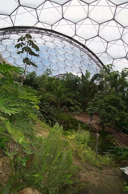 Eden project tropical dome