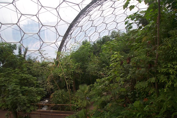 Eden project tropical dome