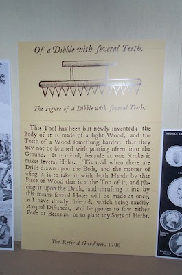 Dibble with feveral teeth