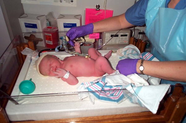 Exam on the warming tray (3-1-03 6:14AM)