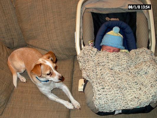 IM002585 (3-9-2003 8:38)