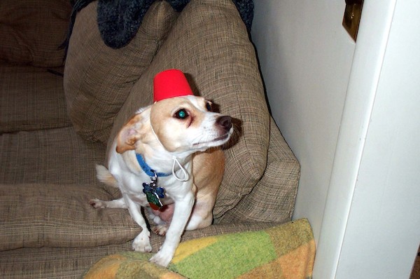 Fez Emily (4-14-2003 5:20PM)