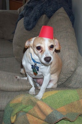 Fez Emily (4-14-2003 5:21PM)