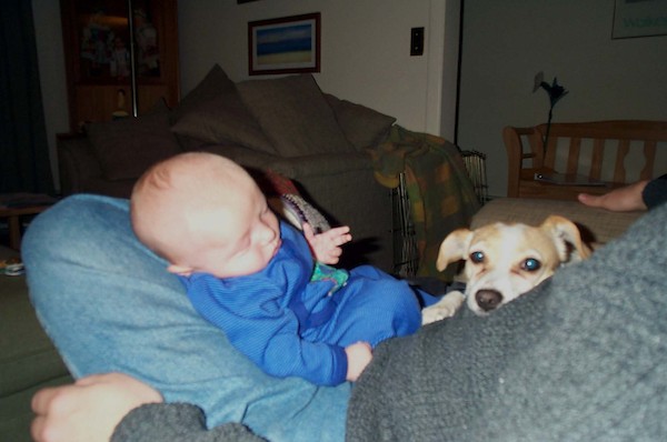 Sleepy babies (4-22-2003 7:56PM)