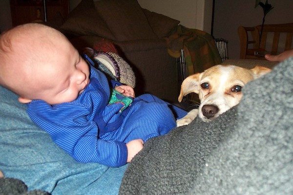 Sleepy babies (4-22-2003 7:56PM)