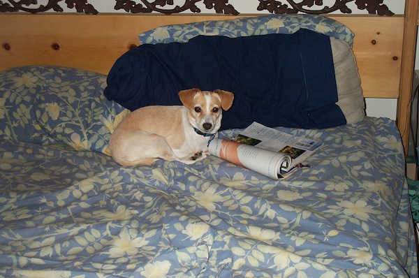 Emily reading (7-9-2003 7:54PM)