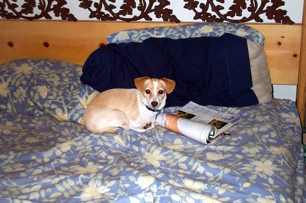 Emily reading (7-9-2003 7:54PM)