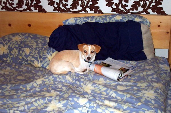 Emily reading (7-9-2003 7:55PM)