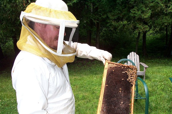 Ben and bees (7-19-2003 12:37PM)