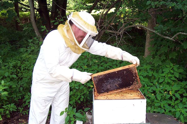 Ben and bees (7-19-2003 12:39PM)