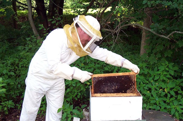 Ben and bees (7-19-2003 12:39PM)