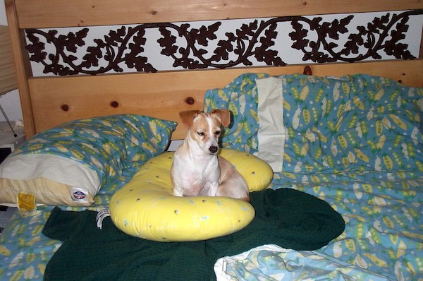 Emily in a Breast Nest (8-29-2003 9:27AM)