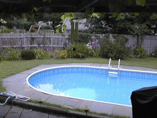 Pool & garden
