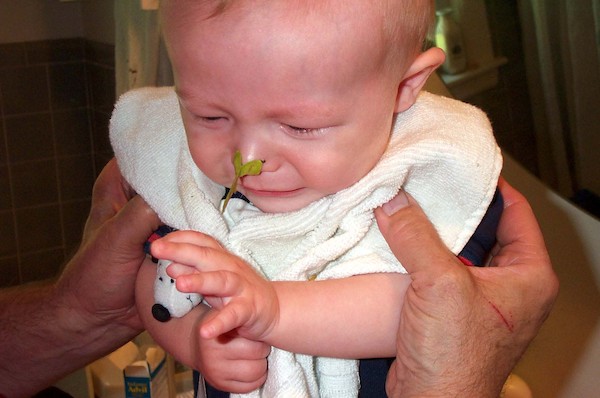 Propeller nose (9-18-2003 2:28PM)