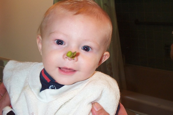 Propeller nose (9-18-2003 2:28PM)