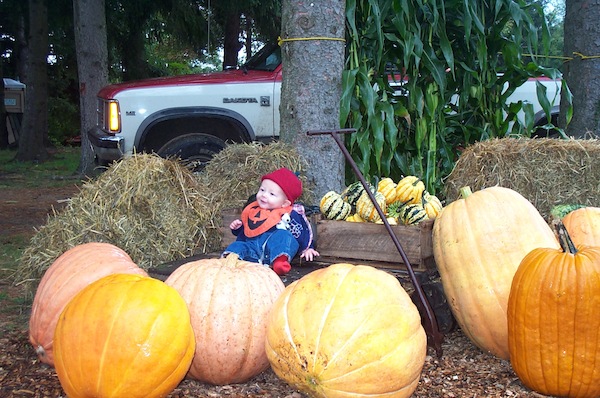 Pumpkin Tim (10-4-2003 10:58AM)