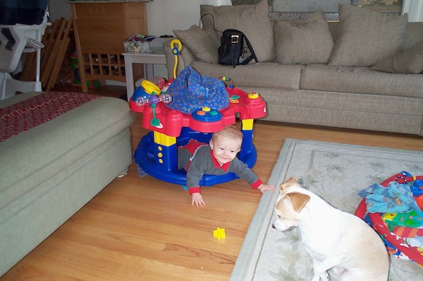 Ooh, a dog (12-18:2003 09:25)