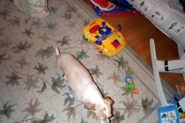 Eagle-eye view of Emily (12-30-2003 19:03)