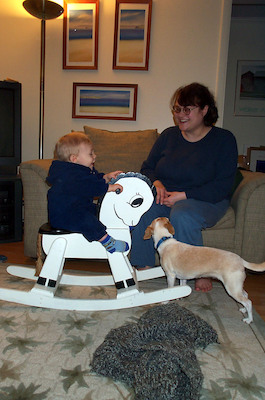 Rocking horse (2-1-2004 19:27)
