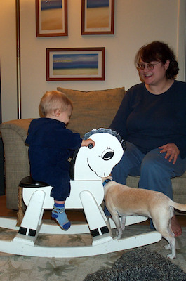 Rocking horse (2-1-2004 19:27)