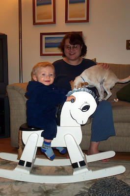 Rocking horse (2-1-2004 19:27)