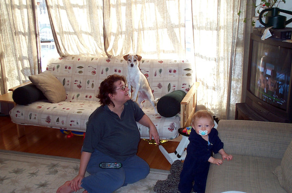 Parrot dog (2-2-2004 15:32)