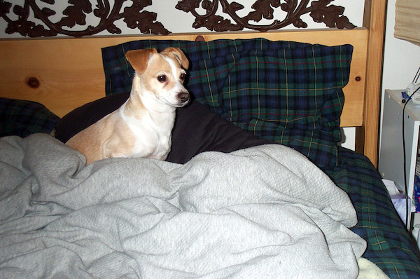 Should I get up (3-22-2004 8:25)