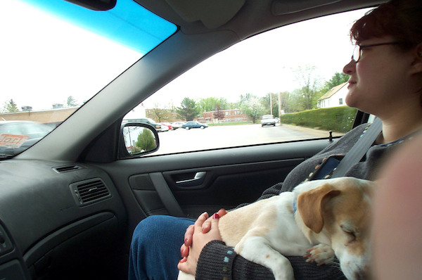 Emily sleeping on Xine