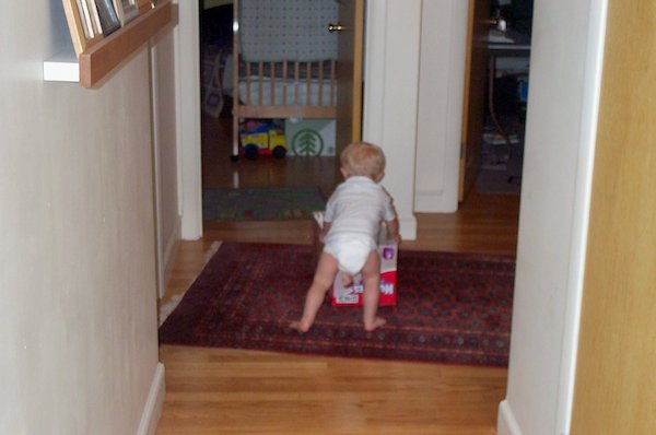 Tim pushing his box (2004-07-13 18:02:22)