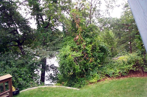 Lake house back yard (9-5-2004 9:22)