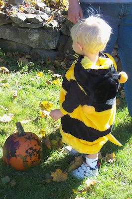 Giant Bee Tim (10-28-2004 14:20)