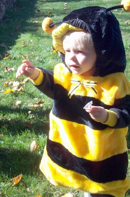 Giant Bee Tim (10-28-2004 14:20)