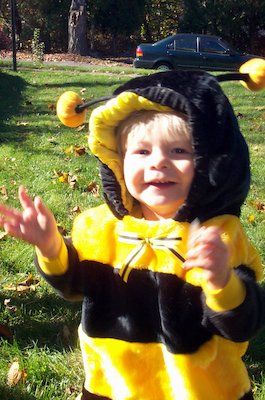 Giant Bee Tim (10-28-2004 14:20)