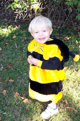 Giant Bee Tim (10-28-2004 14:21)