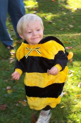 Giant Bee Tim (10-28-2004 14:22)