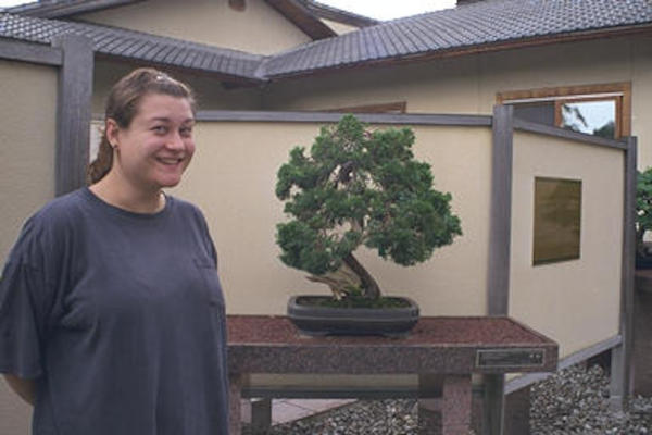 Bonsai at Botanical Garden