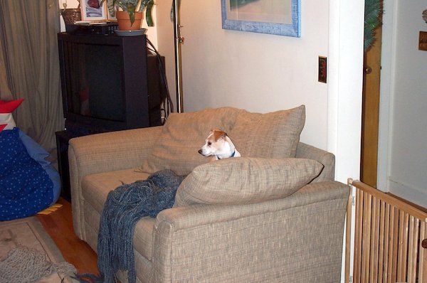 Emily (12-12-2004 17:34)