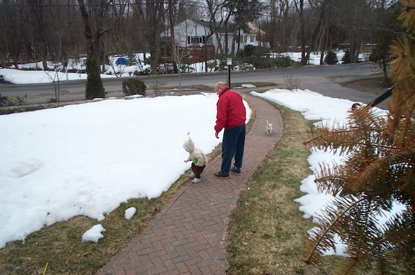 Walky with Poppy and Emily (03-23-2005 13:28)