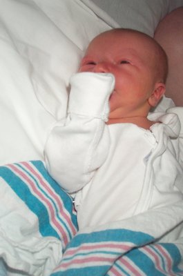 Nicholas (06-17-2005 15:45)