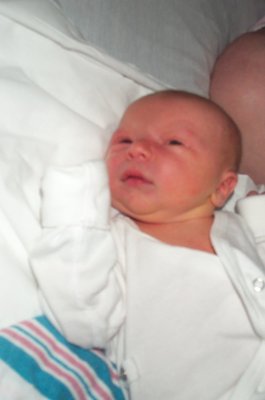 Nicholas (06-17-2005 15:46)